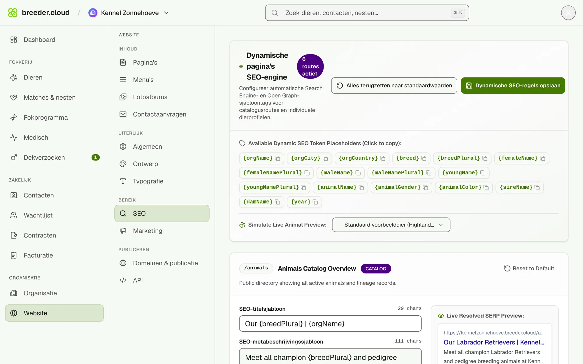 De SEO-instellingen voor automatische pagina's met een Google-voorbeeld